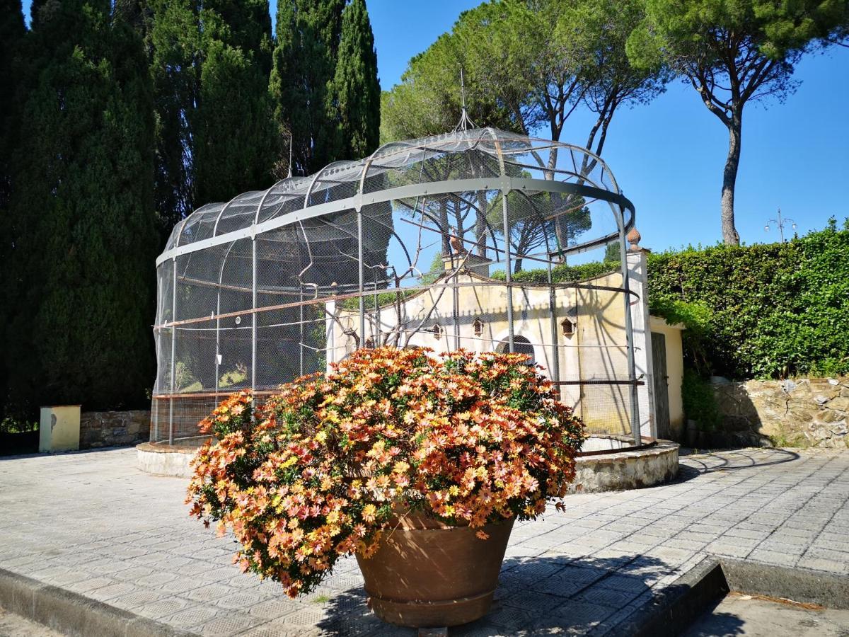 Villa Bellaria Campagnatico Eksteriør billede