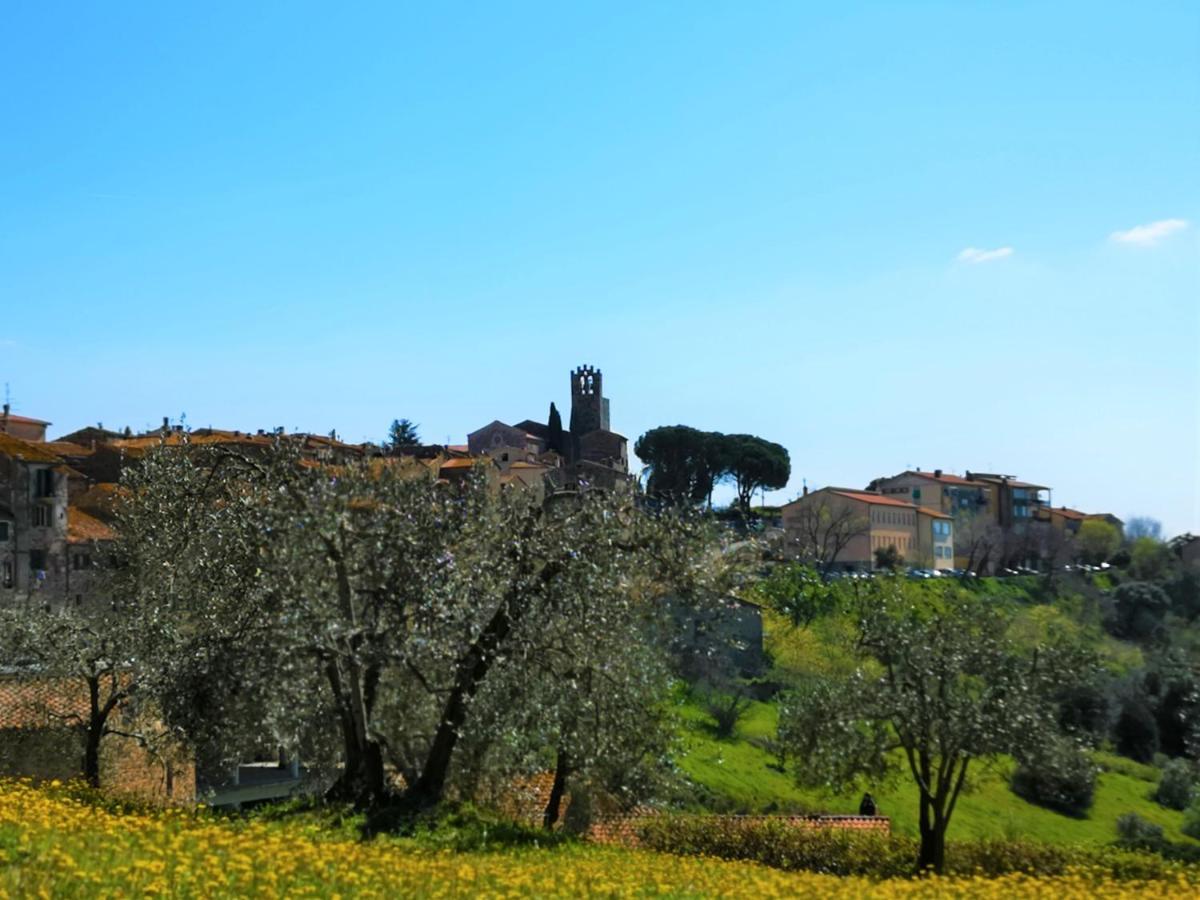 Villa Bellaria Campagnatico Eksteriør billede